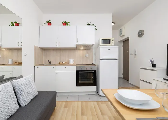 Pet-friendly & Cozy In By Renters * Cracovia